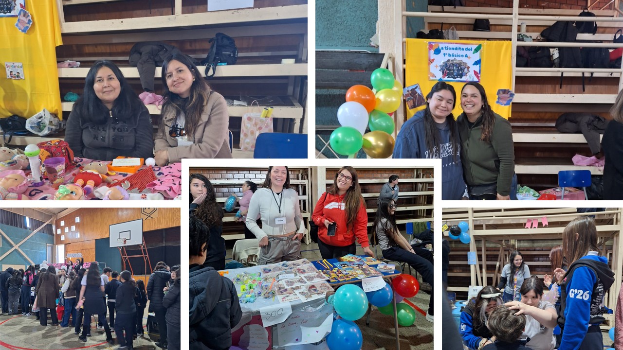 Feria de las Pulgas Solidaria 2026